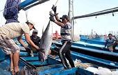 Viet Nam’s aquatic sector on track to hit US$11 billion in exports