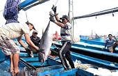 Vietnamese aquatic products reach new markets