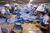 CPTPP certificates of origin see strong utilisation after six years