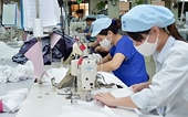 Textile and garment exports are estimated to reach $46 billion in 2025, maintaining Viet Nam's position among the top 3 in the world
