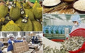 Exports of agricultural, forestry, and aquatic products set a new record.