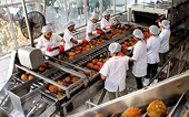 Increasing added value for Vietnamese agricultural exports