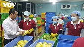 Fruit and vegetable exports rebound as China market recovers