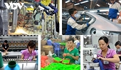 Private sector participation in supply chains - Key to sustainable export growth