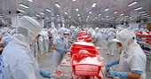 After 'turbulence,' seafood exports to China hit record $2.3 billion