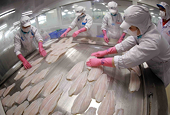 Tra fish exports forecast to near 2.2 billion USD