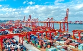 China will impose lower import tariffs on some goods