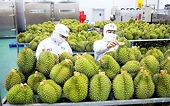 Exports of agricultural, forestry, and aquatic products are expected to reach US$73-74 billion in 2026