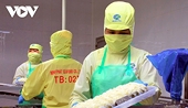 Vietnamese shrimp exporters face new barrier in EU market