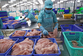 Viet Nam records biggest trade surplus with Netherlands among European partners