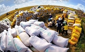 The international community highly appreciates Viet Nam's prominent role in the global supply chain