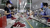Leather and footwear sector adapts to new standards to accelerate export growth