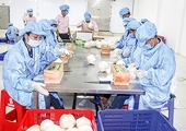 High potential for fruit and vegetable exports