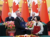 Canada-China deal on canola limited by anti-dumping steel tariffs