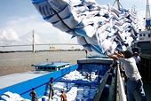 Indonesia shifts its policy focus to coal and rice; Ministry of Industry and Trade issues recommendations.