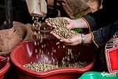 Algeria buys more Vietnamese coffee than the US in 2025