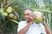 Coconut exports surpassed dragon fruit exports for the first time, earning over half a billion USD