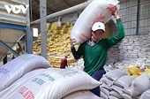 Vietnamese rice shipments pick up after Philippines reopens imports