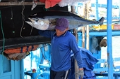 Seafood exports to China increased, offsetting the decline in the US market