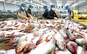 Removing obstacles to seafood export procedures to the United States
