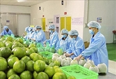 Accelerating from the beginning of the year, agriculture and environment maintain growth momentum