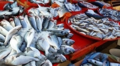 Viet Nam's Farm, Forestry and Seafood Exports to China Jump 66% in January 2026