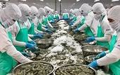 The US is stepping up monitoring of shrimp imports
