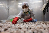 Expanding export potential for agricultural, forestry, and aquatic products, aiming for a target of 74 billion USD