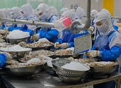 The US announces anti-dumping duties on Vietnamese shrimp