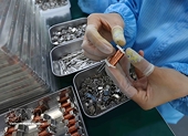 Viet Nam remains bright spot for FDI inflows