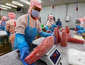 The Ministry of Industry and Trade has requested the EAEU to open its market to Vietnamese seafood