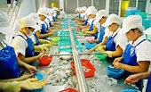 Seafood exports in 2026: A promising start, but concerns about policy changes from the US