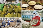 Exports of agricultural, forestry, and aquatic products increased sharply