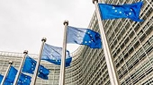 How do the EU's stringent regulations affect Vietnamese export?