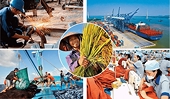 Viet Nam aims for higher-value segments in global chains