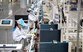 Highest realized FDI in 5 years