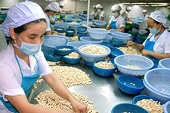 Middle East conflict could cost Viet Nam $8 billion in farm exports