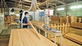 A milestone in wood and wooden product exports, but challenges remain