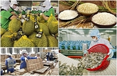 Proactively adapt to Order 280 when exporting food to China