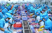 The extraordinary journey of Vietnamese catfish in Japan