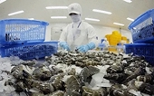 Shrimp exports to the US have dropped sharply