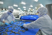 Viet Nam’s seafood exports expand to 97 markets for first time