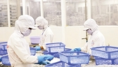New export advantages from the ASEAN market