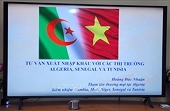 Opportunities for Vietnamese businesses to promote exports to the African market