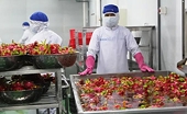Vietnam clarifies EU inspection levels for dragon fruit exports