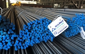 The truth about the information that Hoa Phat Steel and Formosa Steel were subjected to anti-dumping duties by Mexico.