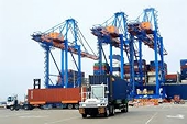 Revenue from the import-export sector increased by over 15%