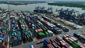 Exports continue to surge amid volatility