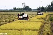 Agricultural exports to China face new regulations