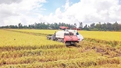 Stopping the decline in export prices of agricultural products